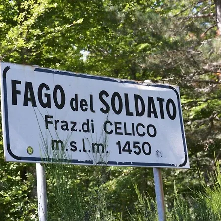 In Mezzo Al Bosco *