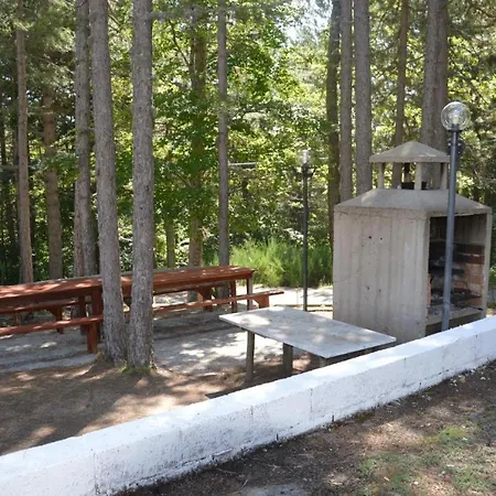 In Mezzo Al Bosco Apartment *
