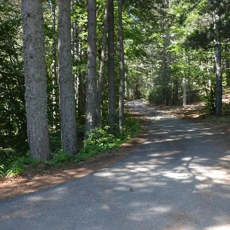 Appartamento In Mezzo Al Bosco Salerni
